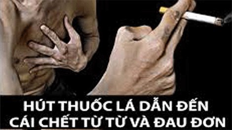 BÀI TUYÊN TRUYỀN TÁC HẠI CỦA HÚT THUỐC LÁ ĐỐI VỚI SỨC KHỎE